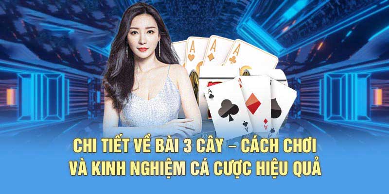 Chơi bài 3 cây cược thả ga tại Bóng88